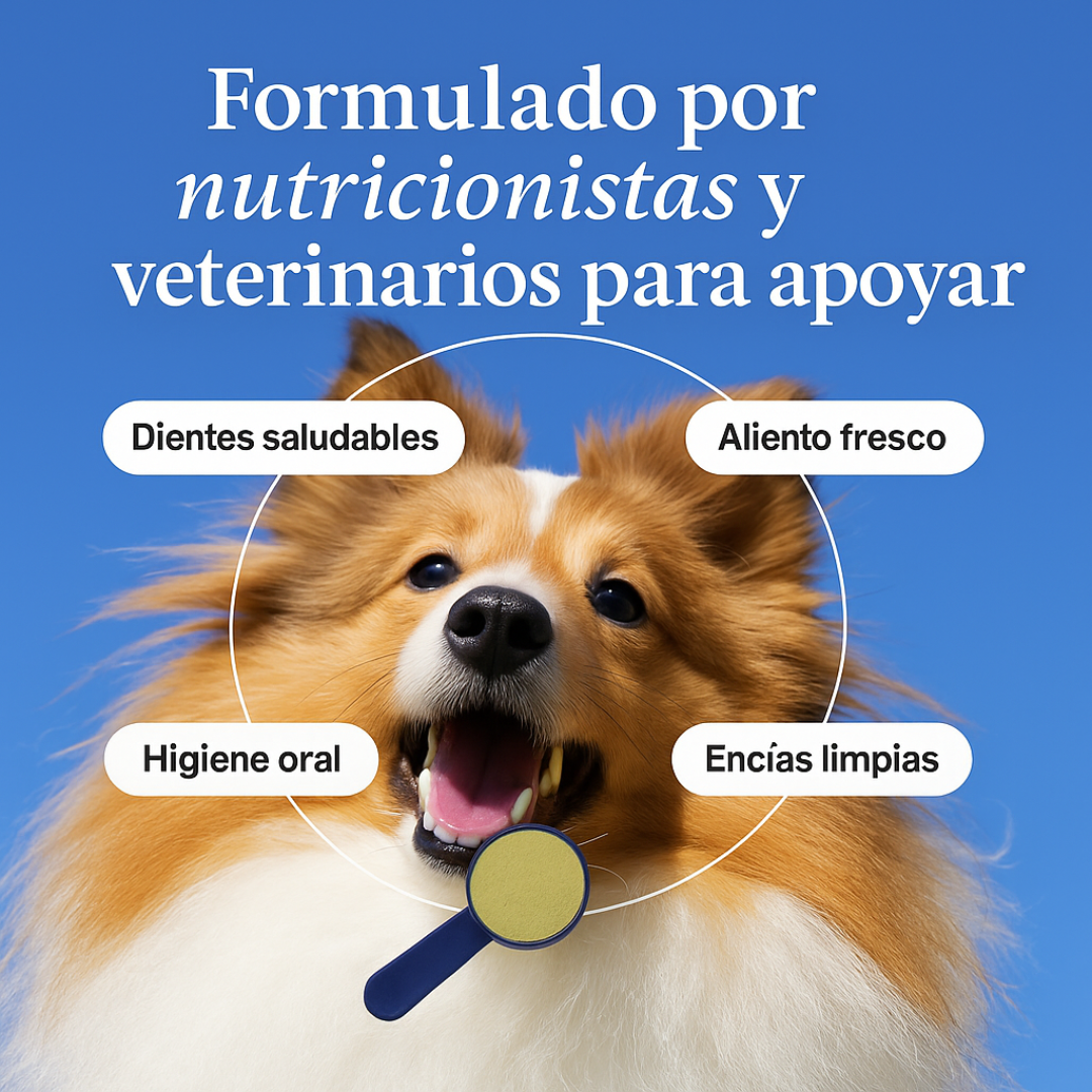 ProBright® - Reducción de sarro y encías saludables sin cepillado