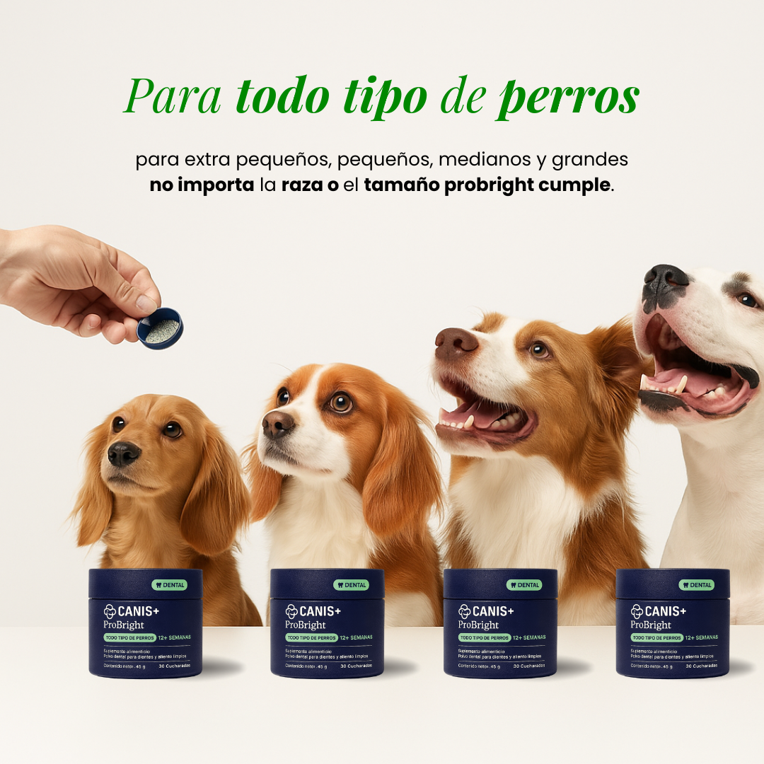 ProBright® - Reducción de sarro y encías saludables sin cepillado