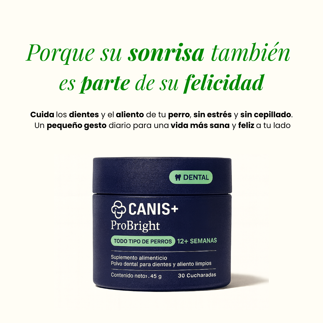 ProBright® - Reducción de sarro y encías saludables sin cepillado